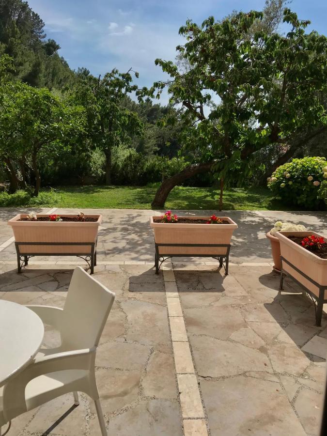 Apartment Vrba Budva